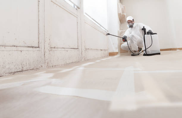 24/7 Emergency Commercial Mold Remediation experts in Belmont, MI