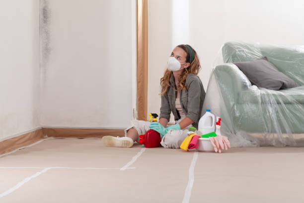 Reliable Commercial Mold Remediation contractor in Belmont, MI by WQB Mold Removal